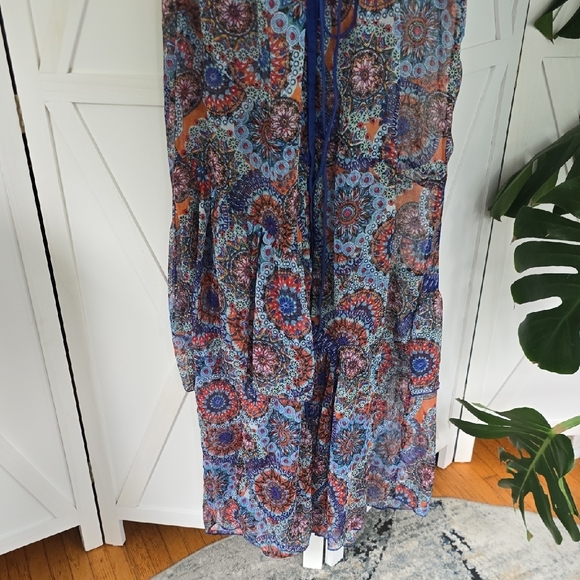 Sheer And Gorgeous Button Up Dress - Picture 3 of 8